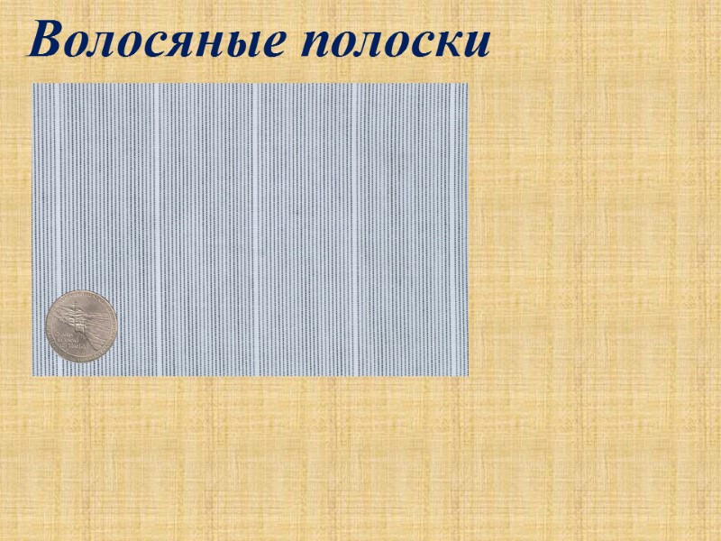 Волосяные полоски